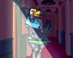  absurd_res anthro avian beak bird black_beak black_feathers booty_shorts clothing feathers female hi_res ramphastos shirt solo tank_top toco_toucan topwear toucan tuca tuca_and_bertie wingedwilly 