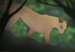  2018 blue_eyes blurred_background cougar digital_media_(artwork) felid feline feral forest fur mammal pink_nose solo standing sythgara tree 
