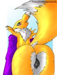  3:4 absurd_res animal_genitalia animal_pussy anus black_anus black_pussy black_sclera blue_eyes butt canine_pussy couldnotparseline digimon digimon_(species) female fur hi_res nude pussy renamon simple_background solo 