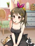 1girl black_dress bow braid breasts brown_eyes brown_hair cat chair chest_of_drawers cleavage curtains dress food hair_bow hair_ornament hairclip highres indoors lamp mirror moe2019 mouth_hold original plant pocky ponytail potted_plant rizkiawan sitting small_breasts stuffed_toy window 