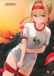  fate/grand_order saber_extra tagme umakuchi_shouyu 