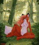  2019 anthro areola belly big_breasts blue_eyes breasts canid canine chest_tuft claws day digital_media_(artwork) eyelashes fangs female forest fox front_view fur grass hair half-closed_eyes hi_res humanoid_pussy invalid_tag long_hair mammal multicolored_fur nature nipples nude orange_hair outside pink_nipples pink_pussy pinup pose pussy rain420 sitting smile solo tree tuft white_belly white_fur 