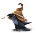  2019 ambiguous_gender avian beak bird clothing corvid corvus_(genus) crow cryptid-creations feral hat headgear headwear simple_background solo wheat white_background 