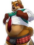  animal_crossing anthro belly blue_eyes bottomwear brown_fur bulge canid canine clothed clothing eclipsewolf fur humanoid_hands male mammal necktie nintendo open_shirt overweight overweight_male pants raccoon_dog shirt simple_background solo tanuki tom_nook_(animal_crossing) topwear underwear video_games white_background 