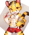  2019 4_fingers abs anthro blush boxer_briefs bulge chest_tuft claws clothed clothing cub fangs felid fingers fur happy hi_res inner_ear_fluff looking_at_viewer mammal multicolored_fur muscular navel pantherine partially_clothed pawpads paws raier raised_tail sharp_claws smile teeth tiger tuft underwear unrealplace yellow_eyes yellow_fur young 