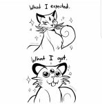  alolan_persian ambiguous_gender big_eyes expectation_vs_reality feral hi_res maksn meme nintendo owo pok&eacute;mon pok&eacute;mon_(species) regional_variant sparkles video_games what_has_science_done why 