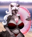  absurd_res anthro beach beverage big_breasts bikini breasts bubble_tea canid canine canis clothing domestic_dog female hi_res huge_breasts humanoid_hands husky hyper hyper_breasts mammal nordic_sled_dog outside sea seaside spitz swimwear thick_thighs voluptuous water winter_nacht 