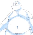  2019 absurd_res anthro belly fur hi_res inushishigami male mammal moobs mouse_sully navel nipples overweight overweight_male simple_background solo ursid white_background white_fur 