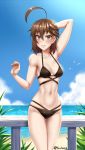  1girl ahoge andou_natsuki arm_behind_head arm_up artist_name bare_shoulders beach bikini black_bikini blue_sky blush breasts brown_eyes brown_hair cloud collarbone day eyebrows_visible_through_hair huge_ahoge kitakubu_katsudou_kiroku looking_at_viewer medium_hair navel outdoors plant railing sky small_breasts smile solo stomach swimsuit thigh_gap twitter_username twrlare water 