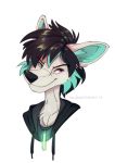  2019 ailuranthropy black_nose canid canine clothed clothing digital_media_(artwork) fur heterochromia hoodie male mammal simple_background solo topwear white_background white_fur 