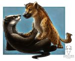  badger black_fur black_nose brown_fur digital_media_(artwork) fur hyaenid hydlunn lying mammal mustelid musteline on_back smile spotted_hyena 