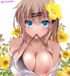  1girl :&gt; bangs bare_shoulders bikini black_bikini blue_eyes breasts brown_hair cleavage closed_mouth collarbone colored_eyelashes covered_nipples eyebrows_visible_through_hair floral_background flower hair_flower hair_ornament hairclip hibiscus ichiyou_moka large_breasts long_hair mouth_hold nipples off-shoulder_shirt off_shoulder one_breast_out original see-through shirt side_ponytail smile solo sunflower swimsuit twitter_username upper_body white_shirt yellow_flower 