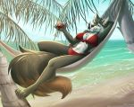  2019 4_toes allatir anthro beach beverage bikini black_fur black_nose blue_eyes breasts canid canine canis claws clothing digital_media_(artwork) female fur hammock hand_behind_head looking_at_viewer lying mammal martini_glass on_back palm_tree sand seaside smile solo swimwear toe_claws toes tree water white_fur wolf 