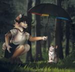  2019 anthro canid canine clothed clothing day detailed_background digital_media_(artwork) domestic_cat duo eyewear felid feline felis female feral forest fox fur glasses grass grey_fur hazelmere hi_res mammal outside raining tree 