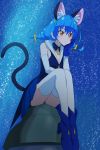  1girl animal_ear_fluff animal_ears blue_cat blue_footwear blue_gloves blue_hair blue_panties blue_skirt braid cat_ears cat_tail gloves haruyama_kazunori orange_eyes panties precure sitting skirt solo star_twinkle_precure tail thighhighs twin_braids underwear white_legwear yuni_(precure) 