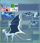  2018 absurd_res dragon english_text feral hair hi_res horn membrane_(anatomy) membranous_wings model_sheet scalie skaydie solo standing text western_dragon white_hair wings 