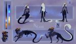  2019 absurd_res anthro black_fur breasts digital_media_(artwork) dragon female feral fur furred_dragon grey_fur hair hi_res horn model_sheet non-mammal_breasts solo white_hair wrappedvi yellow_eyes 