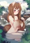  1girl absurdres animal_ears bathing blurry breasts brown_hair brush bucket depth_of_field expressionless highres holo indian_style long_hair nature nude partially_submerged proofmeh red_eyes sitting small_breasts spice_and_wolf tail tail_brushing water wolf_ears wolf_tail 