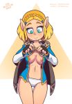  2019 5_fingers areola blonde_hair breasts breath_of_the_wild clothed clothing female fingerless_gloves fingers gloves hair handwear humanoid humanoid_pointy_ears hylian looking_down mammal nintendo nipples not_furry panties princess_zelda short_hair smile solo the_legend_of_zelda the_other_half topless underwear undressing video_games 