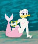  anthro breasts daisy_duck disney erect_nipples female hi_res juice87 marine merfolk nipples nude 