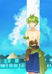  1boy bare_chest blue_sky fire_emblem fire_emblem:_the_binding_blade green_eyes green_hair leaning_on_object noki_(affabile) outdoors shorts sky smile solo wolt 