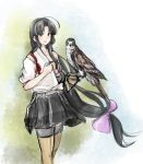  1girl bandeau bird falcon falconry gloves hadanugi_dousa hinata_hibari japanese_clothes kantai_collection shouhou_(kantai_collection) solo thighhighs 