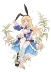  1girl alice_(grimms_notes) alice_(sinoalice) alice_(wonderland) alice_garnet_nakata alice_in_wonderland apron blonde_hair bloomers bunny hairband pantyhose underwear ziko 