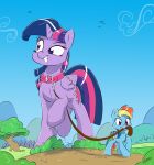  2016 absurd_res collar cutie_mark dilarus equid equine friendship_is_magic hi_res horn horse leash macro mammal mouth_hold my_little_pony pet pony pterippus rainbow_dash_(mlp) scenery twilight_sparkle_(mlp) winged_unicorn wings 