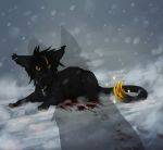  2015 black_fur black_nose blood bodily_fluids collar domestic_cat felid feline felis feral fur hi_res mammal paws reysi snow snowing 