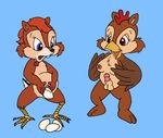  chip chip_&#039;n_dale_rescue_rangers dale morgan_kohl rule_63 