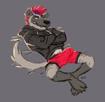  absurd_res anthro bottomwear boxers_(clothing) bulge clothing erection erection_under_clothing fur grey_fur hi_res hoodie hyaenid leydon looking_at_viewer male mammal mohawk_(hairstyle) orf presenting shorts solo striped_hyena tenting topwear underwear 
