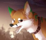  2017 black_nose brown_eyes canid canine collar digital_media_(artwork) evening feral fox fur hi_res mammal open_mouth outside reysi sky solo star starry_sky teeth tongue white_fur 