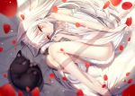  animal animal_ears barefoot bed blush cat catgirl dress fang kyubi long_hair original petals red_eyes skirt_lift summer_dress tail white_hair 