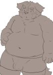  2019 anthro belly blush bottomwear bulge canid canine canis clothing domestic_dog hi_res humanoid_hands kota&acute; male mammal moobs navel overweight overweight_male shorts simple_background solo white_background 