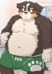  2019 anthro belly blush bulge canid canine canis clothing domestic_dog english_text hi_res humanoid_hands kota&acute; male mammal moobs navel nipples overweight overweight_male solo text underwear 