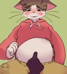  anthro belly blush bodily_fluids bottomwear clothed clothing conditional_dnp digital_media_(artwork) domestic_cat felid feline felis fur green_eyes hair hi_res hoodie male mammal navel navel_fetish navel_fingering navel_poke nyaroma overweight overweight_male pants simple_background slightly_chubby smile solo_focus striped_fur stripes sweat tabby topwear 