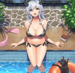  1girl absurdres bikini black_bikini breasts cat collarbone from_above highres horns innertube large_breasts long_hair looking_at_viewer navel open_mouth original phano_(125042) plant pointy_ears pool poolside potted_plant side-tie_bikini silver_hair sitting soaking_feet solo swimsuit water wet yellow_eyes 