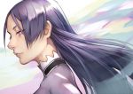  1girl 55level abstract_background ears fate/grand_order fate_(series) high_collar highres lips long_hair minamoto_no_raikou_(fate/grand_order) portrait profile purple_eyes purple_hair realistic solo wind 