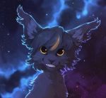  2019 ambiguous_gender black_fur black_hair black_nose digital_media_(artwork) domestic_cat felid feline felis feral fur hair hi_res mammal night outside reysi sky smile solo star starry_sky 