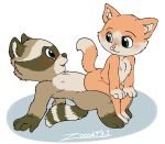  absurd_res cub domestic_cat ennie_and_yoyki felid feline felis female hi_res male male/female mammal procyonid raccoon sex young zooshi эни_и_йойки 