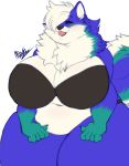  absurd_res anthro big_breasts bra breasts canid canine canis clothing domestic_dog female fur hair hair_over_eye hi_res huge_breasts husky mammal mixideer nordic_sled_dog overweight overweight_female smile solo spitz tongue tongue_out underwear 