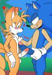  anthro balls big_penis blue_fur bodily_fluids canid canine comparing comparing_penis eulipotyphlan fox frottage fur genital_fluids hedgehog hi_res male male/male mammal miles_prower penis precum sex sonic_(series) sonic_the_hedgehog taillove_(artist) 