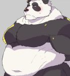  2019 anthro belly black_fur blush bodily_fluids fur giant_panda hi_res male mammal moobs overweight overweight_male simple_background solo star_parlor sweat ursid white_fur 
