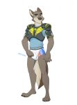  2019 5_fingers anthro blue_eyes brooks canid canine canis claws clothing colt3n diaper fingers grin hi_res jockstrap male mammal pull-ups(diaper) shirt smile solo standing text topwear underwear wolf 