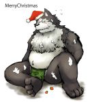  2008 anthro belly blush canid canine canis christmas clothing fundoshi hat headgear headwear holidays japanese_clothing male mammal overweight overweight_male rouen scar shining_(series) shining_force shining_wind sitting solo underwear video_games wolf yamacha012 