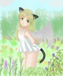  animal_ears atoys blonde_hair cat_ears cat_tail ehekatl_of_luck elona flower green_eyes solo tail wings 