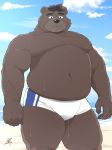  2018 anthro beach belly black_nose blush brown_fur clothing fur humanoid_hands male mammal mohumohuotou moobs navel nipples okatana outside overweight overweight_male privateotou seaside solo swimsuit ursine water wet 