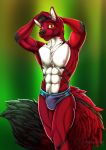  2019 abs anthro bulge canid canine canis clothed clothing digital_media_(artwork) fluffy fox fur hair hybrid looking_at_viewer male mammal muscular muscular_male nanukkluik nipples pecs pinup pose smile solo speedo swimwear underwear wolf wred(wredthewolffox) 