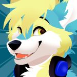  1:1 2019 anthro black_eyebrows black_nose blonde_hair blue_fur canid canine canis diamas_lupus digital_media_(artwork) eyebrows feve fur green_background hair headphones headphones_around_neck headshot_portrait looking_at_viewer male mammal multicolored_fur open_mouth portrait simple_background smile solo teeth white_fur wolf yellow_eyes yellow_fur 