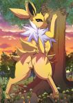  2019 3_toes absurd_res against_tree alesarox anus black_nose blush butt canid canine chest_tuft cloud ears_up eeveelution female fur grass hi_res jolteon long_ears looking_back mammal nintendo outside pok&eacute;mon pok&eacute;mon_(species) presenting presenting_hindquarters presenting_pussy pussy rear_view sky snout solo sparkles spread_legs spreading sunset toes tree tuft video_games yellow_fur 